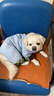 戴拉沛塔狗狗衣服小型犬冬季保暖四腳衣可牽引泰迪比熊雪納瑞冬款厚棉衣 好運藍色 2XL 建議11-15斤 曬單實(shí)拍圖