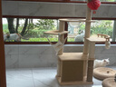 伊珊娜經(jīng)典系列中毛犬/貓專(zhuān)用香蕉精華旅行套裝（香波50ml+護毛素50ml） 曬單實(shí)拍圖