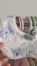 babycare嬰兒純棉口水巾新生寶寶花瓣圍嘴口水圍兜方巾28*28cm樹(shù)袋熊3條裝 曬單實(shí)拍圖