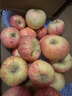 阿克蘇蘋(píng)果正宗新疆阿克蘇冰糖心蘋(píng)果當季應季新鮮時(shí)令水果整箱紅富士丑蘋(píng)果 10斤帶箱【實(shí)惠裝】單果70-80mm凈重8.5斤 曬單實(shí)拍圖