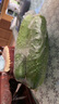 東北正宗旱黃瓜帶刺脆皮小青瓜新鮮蔬菜水果綠黃瓜單根≥90g 2斤 曬單實(shí)拍圖