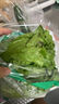 【高山鮮】鐘靈山羅馬生菜400g 曬單實(shí)拍圖