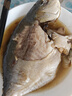 8條 特大號金鯧魚(yú) 新鮮海魚(yú) 鯧魚(yú) 深海冷凍海昌特大金昌海鮮水產(chǎn) 9兩-1斤左右/條 3條 曬單實(shí)拍圖