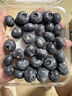 高山秘魯藍莓孕婦寶寶輔食當季新鮮水果怡顆云藍梅進(jìn)口京東包郵 中果單果14mm+ 嘗鮮1盒裝（100g-125g）/盒 曬單實(shí)拍圖