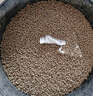 瘋狂水草蘭壽飼料魚(yú)糧/飼料蘭壽金魚(yú)專(zhuān)用飼料魚(yú)食上浮增色高蛋白不渾水 曬單實(shí)拍圖