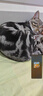 榮耀X70 12+512 幻夜黑  金標十面抗摔 80W無線超級快充 IP69防水 榮耀綠洲護眼屏 AI手機 國家補貼 曬單實拍圖