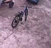 永久（FOREVER）山地車(chē)自行車(chē)成人男女初中高中學(xué)生越野賽車(chē)變速碟剎減震腳踏單車(chē) 【鋼架/密封軸承】炫彩紫-輻條輪 26英寸24速【升級款155-185cm】 曬單實(shí)拍圖