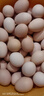 農家鮮雞蛋40-45g散裝農家現撿現發(fā)營(yíng)養健康早餐新鮮雞蛋 農家土雞蛋40克*50枚 曬單實(shí)拍圖