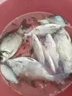 釣魚(yú)餌料野釣鯉魚(yú)鯽魚(yú)草魚(yú)專(zhuān)用鮮丹蚯蚓紅蟲(chóng)顆粒鄧剛魚(yú)餌餌料大全 升級版3瓶【買(mǎi)2送1】大魚(yú)秒咬鉤 曬單實(shí)拍圖