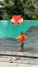 swimbobo兒童游泳手臂圈浮袖 游泳裝備橙色獨(dú)立多氣囊水袖漂 BO1300S 曬單實(shí)拍圖