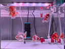創(chuàng  )寧魚(yú)缸變頻加熱棒 CN-555-500W 自動(dòng)恒溫 烏龜小型迷你加溫器 曬單實(shí)拍圖