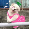 純耕紅黑枸杞原漿禮盒2700ml教師中秋禮品寧夏紅黑枸杞汁液送長(cháng)輩禮物 曬單實(shí)拍圖