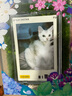 INSTAX富士instax立拍立得 一次成像相機 mini12（mini11升級款）茉莉白 曬單實(shí)拍圖