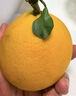趣嘗鮮四川愛(ài)媛38號果凍橙 凈重8斤起 18枚 單枚170g  源頭直發(fā) 曬單實(shí)拍圖