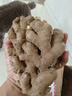 京鮮生云南羅平小黃姜帶泥姜新鮮蔬菜生姜特惠1.8斤源頭直發(fā) 曬單實(shí)拍圖