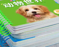 撕不爛可啃咬 嬰幼兒啟蒙認(rèn)知早教書 嬰兒繪本0-1-2-3歲寶寶書籍一歲半兩歲益智玩具大卡認(rèn)識(shí)動(dòng)物書顏色趣味識(shí)數(shù)咿呀學(xué)語6個(gè)月以上 【主圖款】動(dòng)物世界+水果蔬菜+趣味識(shí)數(shù)+咿呀學(xué)語 曬單實(shí)拍圖