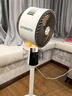 創(chuàng)維【全屋驅(qū)蚊】空氣循環(huán)扇家用電風(fēng)扇落地扇2025新款大風(fēng)量語(yǔ)音遙控輕音節(jié)能臥室小風(fēng)扇Q522 白咖色 曬單實(shí)拍圖