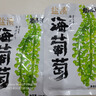 鹽漬海葡萄泡發(fā)食用 兒童海藻菜海洋蔬菜海草 海葡萄100g*3袋【送芥末醬油】 曬單實(shí)拍圖