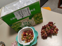 【彩箱】克倫生紅提新鮮應季水果無(wú)籽葡萄提子整箱批發(fā)禮箱 【彩箱】帶箱2斤裝 曬單實(shí)拍圖