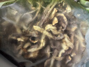 京鮮生云南鹿茸菇干貨凈重1斤 當季新貨脆嫩爽口火鍋煲湯小炒源頭直發(fā) 曬單實(shí)拍圖