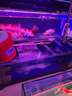 倍舒特眠眠褲 棉柔夜用防漏褲型衛生巾M-L碼10條80-130斤京東自營(yíng)安睡褲 曬單實(shí)拍圖