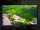 飛利浦EVNIA弈威 27英寸4K240Hz 硬件護眼QD-OLED 色準＜1 滿血DP2.1光效音響 國補 電競顯示器27M2N8800 曬單實拍圖