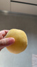京地達黃桃水果桃子蒙陰新鮮應季蜜桃 凈重5斤 單果120g起 源頭直發(fā) 曬單實(shí)拍圖