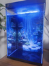 適配小米家魚(yú)缸2代背景板貼紙圖畫(huà)高清圖立體壁紙風(fēng)景造景裝飾 海扇悠舞 無(wú)規格 曬單實(shí)拍圖