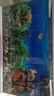 長(cháng)銳魚(yú)缸客廳大型造景生態(tài)超白玻璃家用辦公室免換水水族箱 超白MC820【長(cháng)80x寬37x高56cm】 曬單實(shí)拍圖