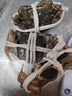 【活蟹】蓮花蟹農大閘蟹鮮活公2.5-2.8母2.0-2.3兩3對6只螃蟹鮮活去繩足重現貨源頭直發(fā) 曬單實(shí)拍圖