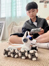 科學(xué)怪獸機器狗遙控汽車(chē)兒童玩具變形機器人3-6-10歲男孩生日禮物 曬單實(shí)拍圖