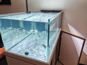 森森（SUNSUN）原生態(tài)溪流缸25年新款造景金魚(yú)缸客廳超白玻璃底濾魚(yú)缸包安裝 1米大觀(guān)賞面47寬 白色 升級款（黑金筒燈） 曬單實(shí)拍圖