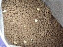 益派滋無(wú)谷三文魚(yú)雪兔肉絨貓糧全階段用長(cháng)肉美毛益生菌高蛋白成幼貓試吃 2kg兔肉絨貓糧【呵護腸道營(yíng)養低脂】 一袋 全年齡段適用 曬單實(shí)拍圖