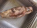 美加佳冷凍整只大魷魚(yú)凈重2斤（2-3條）燒烤食材 鐵板魷魚(yú)  中秋送禮 曬單實(shí)拍圖