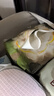 babycare面膜柔巾嬰兒山茶新生柔超柔乳霜巾一次性洗臉巾綿柔巾 80抽*8包 曬單實(shí)拍圖