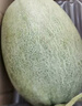 京鮮生 海南西州蜜哈密瓜 凈重4.5-5斤 1-2粒裝 源頭直發(fā)包郵 曬單實(shí)拍圖