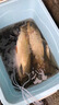 吳亞釣魚(yú)餌料浮底抽芯套裝顆粒餌料鯽魚(yú)鯉魚(yú)鰱鳙大物窩料黑坑神器 浮底抽心二代果味1400g 曬單實(shí)拍圖
