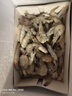 鮮享純【青島蝦】超大蝦新鮮大蝦冷凍鮮活青島大蝦批發(fā)整箱基圍蝦青蝦 15-17厘米鮮蝦速凍 3斤(凈重) 曬單實(shí)拍圖