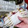 舟山梭子蟹鮮活特大野生大螃蟹新鮮冷凍海鮮水產(chǎn)海蟹飛蟹白蟹順豐 7-9兩/只【5斤凈重 特大肥壯】 曬單實(shí)拍圖