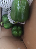 現摘新鮮圓辣椒超市即食太空椒皮厚肉多不辣水果燈籠椒 2斤普通裝 2斤 曬單實(shí)拍圖