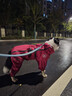 MOEPIE狗狗雨衣金毛邊牧拉布拉多中大型犬雨衣2025全包四腳透氣雨衣 紅色 3XL（推薦40-49斤） 曬單實(shí)拍圖