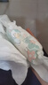 幫寶適（Pampers）清新幫紙尿褲 L112（整箱） 曬單實(shí)拍圖