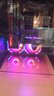 七彩虹（Colorful）戰斧 GeForce RTX 5060  DUO 8G  電競光追游戲設計電腦顯卡 RTX 5060 8G DUO戰斧 曬單實(shí)拍圖
