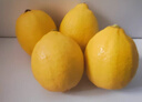 優(yōu)味集進(jìn)口新奇士檸檬【JD順豐現貨速發(fā)】新鮮南非黃檸檬生鮮水果整箱 1斤凈重 商超級大果（單果120g+） 曬單實(shí)拍圖