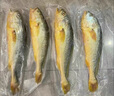 寧德深海大黃魚(yú)半野生超大黃花魚(yú)海鮮禮盒高端海鮮禮盒送禮整箱 1箱【3條裝】每條1斤 曬單實(shí)拍圖