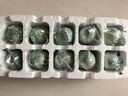 神郵 高郵松花蛋皮蛋 熟10枚*65g中秋禮盒  麻鴨松花蛋 源頭直發(fā)包郵 曬單實(shí)拍圖