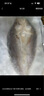 黃小漁南美黃魚(yú)鲞450g/2條 三去大黃魚(yú)黃花魚(yú)生鮮 海鮮水產(chǎn)燒烤魚(yú)類(lèi)中秋 曬單實(shí)拍圖