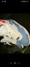 耐克（NIKE）喬丹男女同款AJ4水洗丹寧復刻運動(dòng)鞋休閑鞋 IB6716-100 41 曬單實(shí)拍圖
