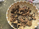 Q21【魔方褲】男女褲子戶(hù)外運動(dòng)褲透氣休閑寬松長(cháng)褲男裝女裝春季 槐黃 M (165) 曬單實(shí)拍圖