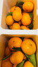 夢(mèng)茜兒金秋砂糖橘 9斤冰糖小蜜桔子新鮮薄皮甜蜜早熟沙糖水果廣西特產(chǎn) 1斤 小果 曬單實(shí)拍圖